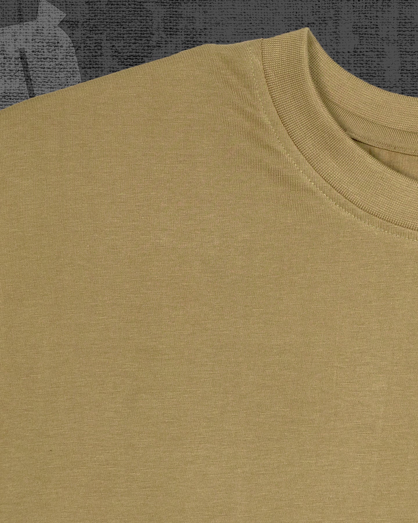 Basic Dark Beige Classic Fit T-shirt
