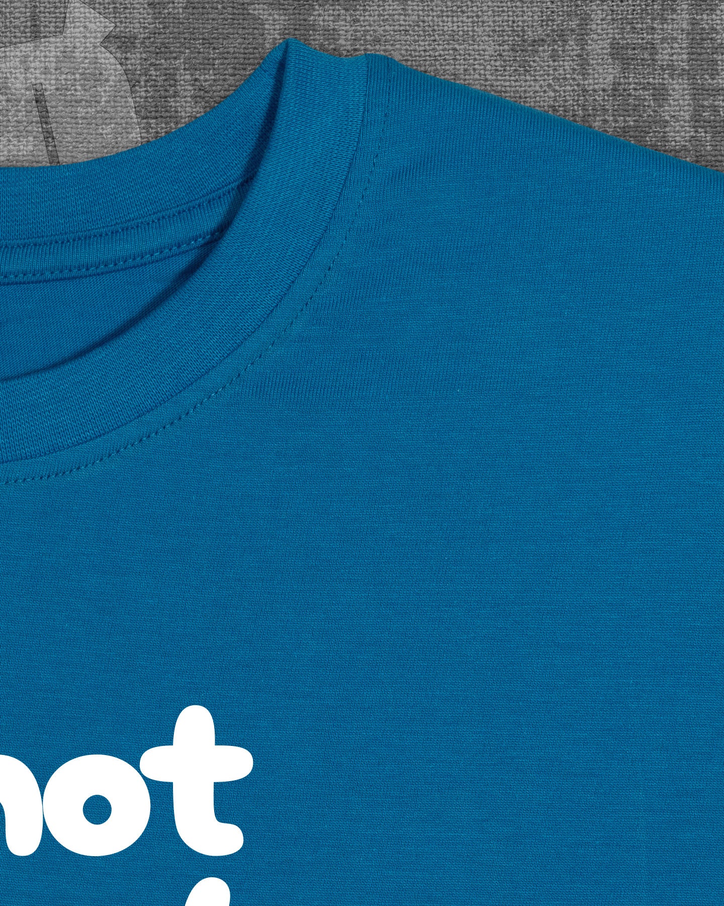 Do not Disturb Indian Blue Classic Fit T-shirt