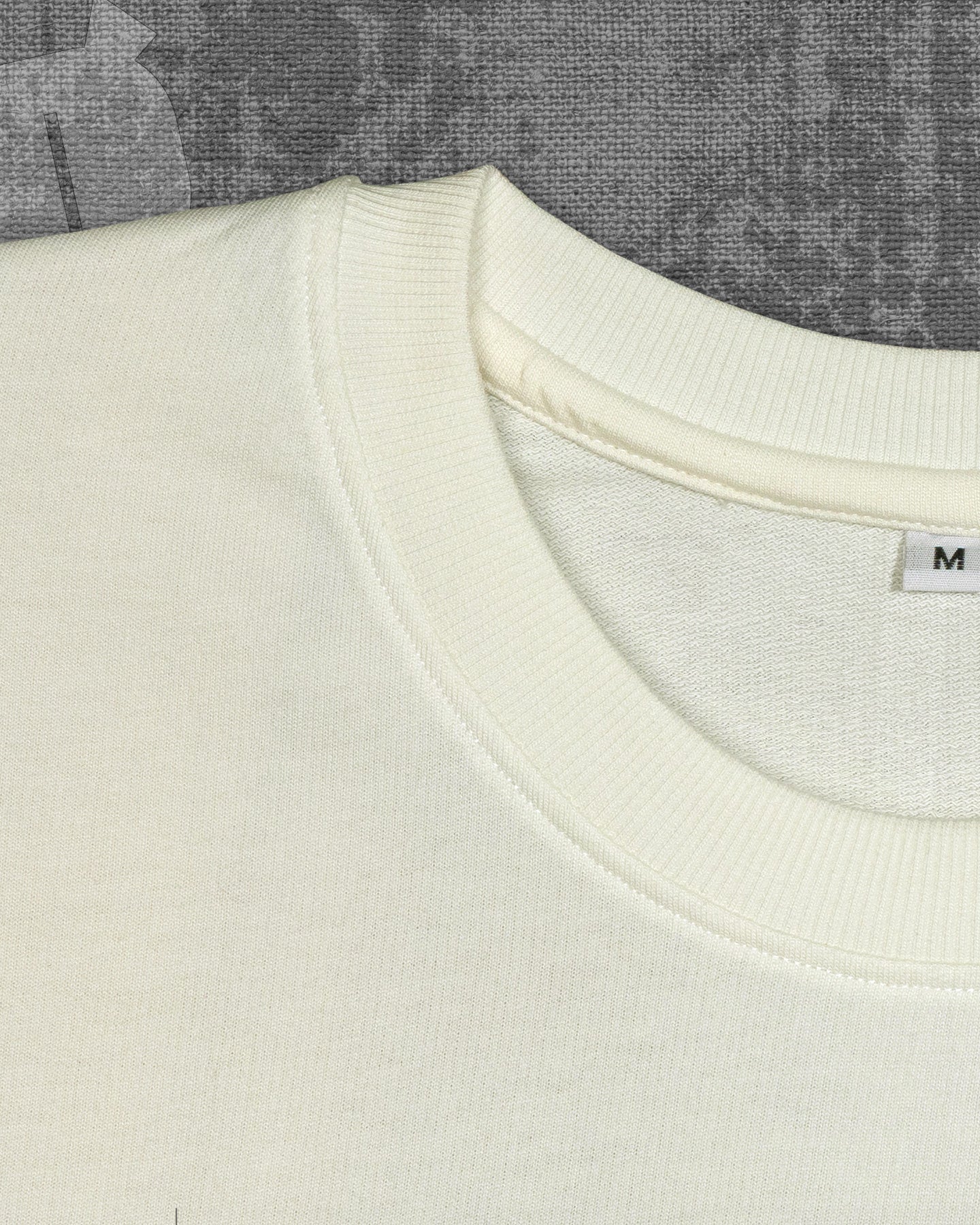 Tiranga Pride Off white Heavyweight Oversized T-shirt